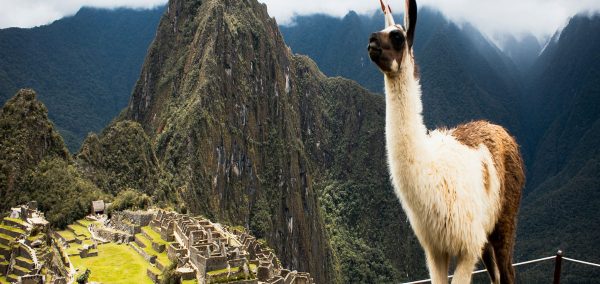 Inka Jungle Trek to Machu Picchu 3D/2N